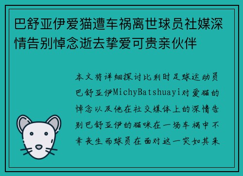 巴舒亚伊爱猫遭车祸离世球员社媒深情告别悼念逝去挚爱可贵亲伙伴 巴舒亚伊爱猫遭车祸离世球员社媒深情告别悼念逝去挚爱可贵亲伙伴